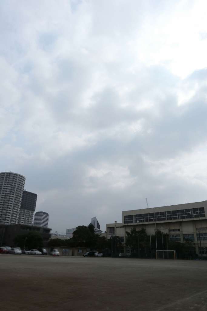 川口 埼玉 台風 県 市