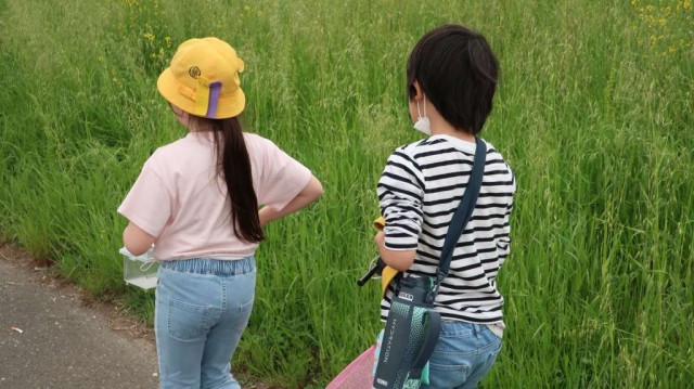 画像 (5)