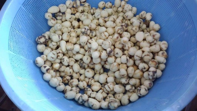 WIN_20251217_09_33_10_Pro