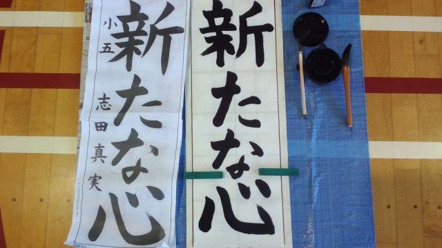 WIN_20260113_11_40_37_Pro