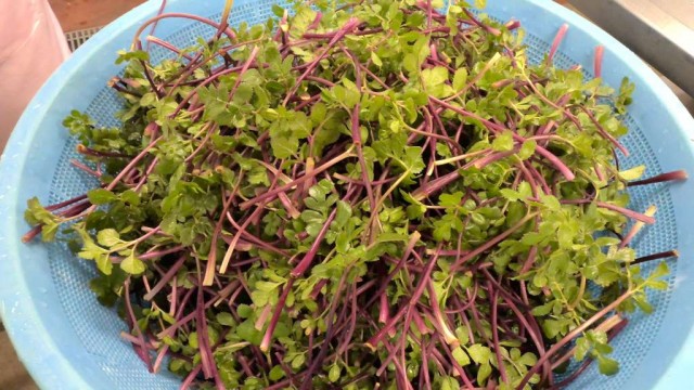 WIN_20260310_08_54_31_Pro