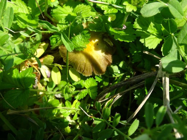 DSC01290